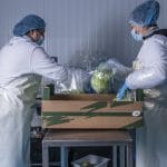 Beneficios de comprar frutas y verduras de temporada 3 distribucion lechugas y verduras malaga