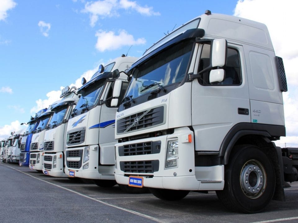 Distribuidor hortalizas con frescura y calidad en cada entrega