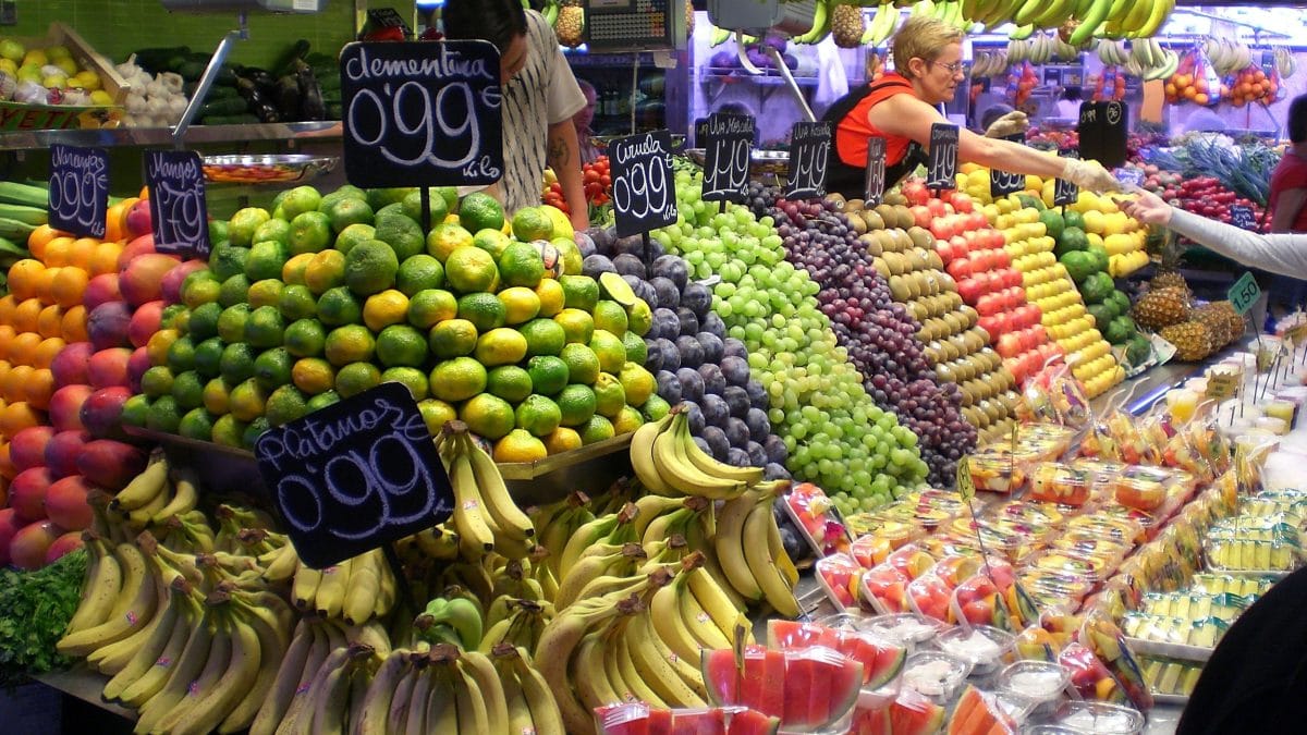 Fruterías en Málaga y abastecimiento de frutas y hortalizas 6 Distribución para fruterías en Málaga con logística refrigerada
