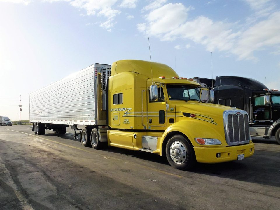 Proceso de distribución de frutas frescas en almacén