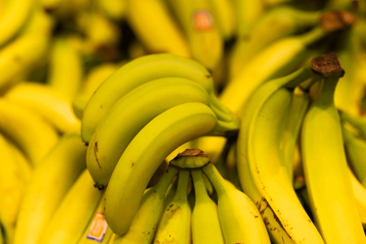 Frutas tropicales ¿Cuáles son?: Transporte especializado y usos 5 frutas tropicales